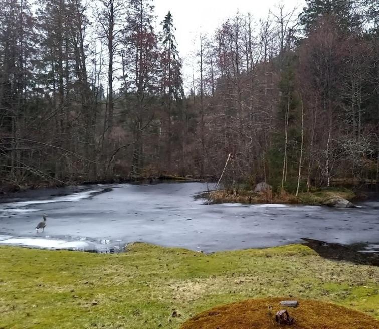 Gaeststuga I Vacker Natur, Bastu, Bubbelpool Sommartid Och Gratis Parkering Naera Ulricehamn Och Lassalyckan, Guesthouse With Nice View With Sauna And Free Parking Close To Dalsjoefors And Fishing Бурос Екстер'єр фото
